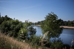 pour-voir-116-sur-536