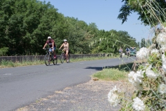 pour-voir-363-sur-536