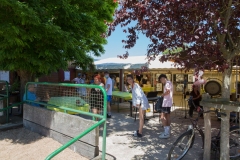 pour-voir-376-sur-536