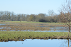 observatoire-oiseaux-4