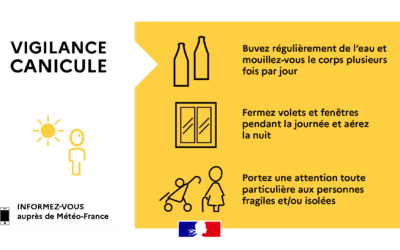 Épisode persistant de chaleur : mesures pour préserver la santé et les forêts