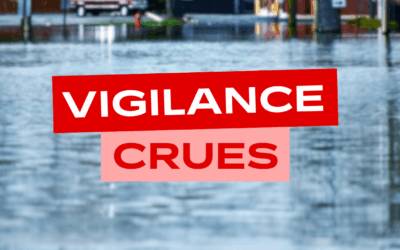 Point de situation – Jeudi 19 février 2026 – 19h