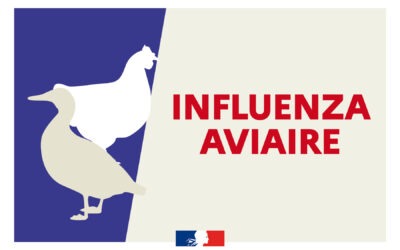 Influenza aviaire – Arrêté préfectoral en vigueur