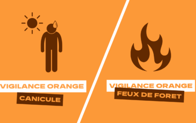 Vigilance ORANGE – Canicule et risque élevé feu de forêt